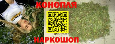 спиды Будённовск